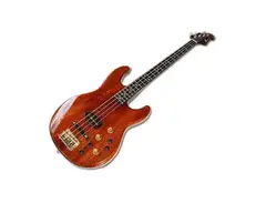 Roland G-33 bass main image