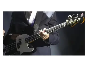Mr Drubbel Telecaster bass PJ