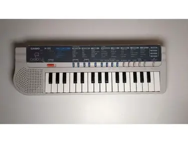 Casio M-100