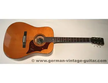 Hofner (Höfner) Arizona