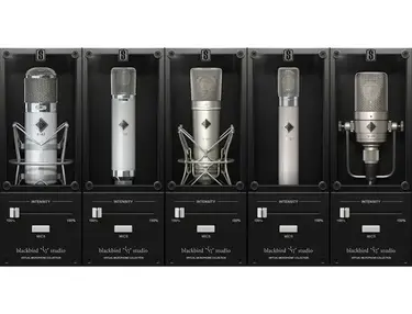 Slate Digital Blackbird Mics Expansion Pack
