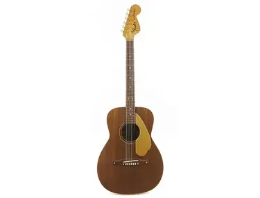 Fender Newporter 1965 - 1971