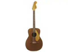 Fender Newporter 1965 - 1971 main image