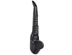 Casio DH-800 Digital Horn main image