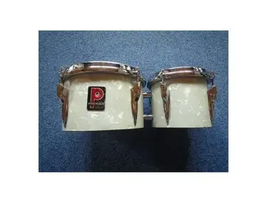 Premier bongos