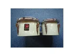 Premier bongos