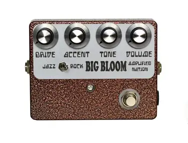 Amplified Nation Big Bloom Overdrive