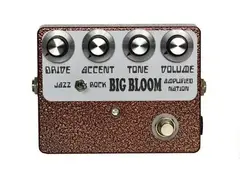 Amplified Nation Big Bloom Overdrive main image