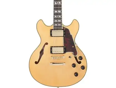 D'Angelico Deluxe Mini DC Semi-hollowbody Electric Guitar