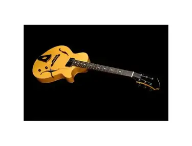 Semi-Hollowbody Electric Guitars | Equipboard