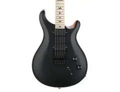 PRS DW CE 24 "Floyd" Electric Guitar main image