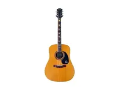 Epiphone FT-150 main image