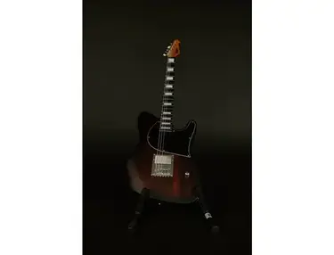 Balaguer Thicket FYS Dan O’Connor Signature
