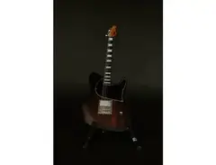 Balaguer Thicket FYS Dan O’Connor Signature