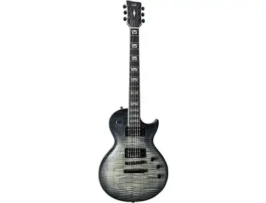 Visions In Guitars VGS Eruption Pro Evertune BBF E-Gitarre
