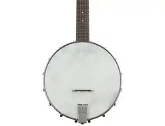 Recording King Dirty 30s Open-back Banjo main image