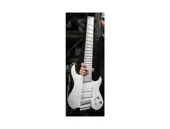 Kiesel Steph Carpenter Custom headless