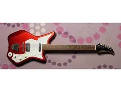 Fujigen PP3-950