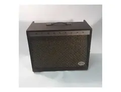 Magnatone Estey Custom 440 2-Channel 18-Watt 1x12" Guitar Combo main image