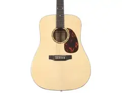 Recording King RD-G6 Dreadnought Acoustic Guitar