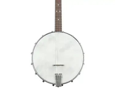 Recording King Dirty 30s Tenor Banjo - Open-back
