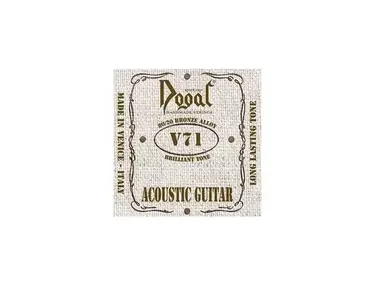 Dogal V71 Acoustic Guitar