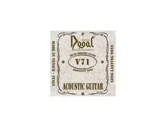 Dogal V71 Acoustic Guitar main image