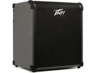 Peavey MAX 300 2x10" 300-watt Bass Combo Amp