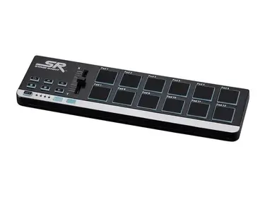 Stage Right by Monoprice SRP12