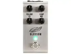 Jackson Audio Blossom