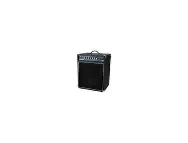 ACOUSTIC Bass Guitar Amp B100