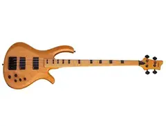 Schecter Riot-4 Session