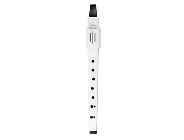 Blackstar Carry-on Digital Wind Instrument
