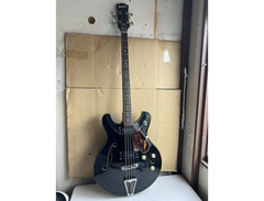 Guyatone SB-25 main image