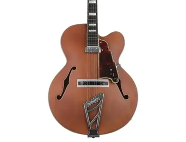 D'Angelico Premier EXL-1 Hollowbody Guitar