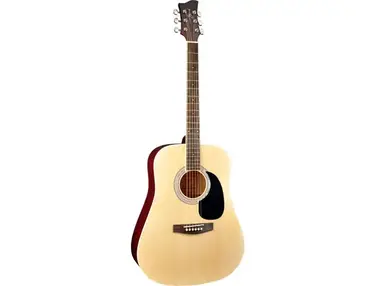 Acoustic Guitar JAY TURSER