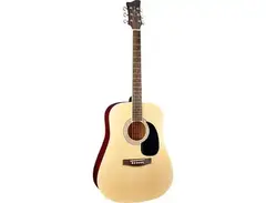 Acoustic Guitar JAY TURSER main image