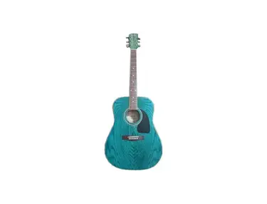 Fender FSR DG-04