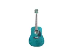 Fender FSR DG-04 main image