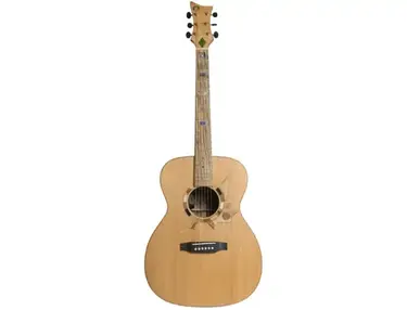 Six String Nation Voyageur