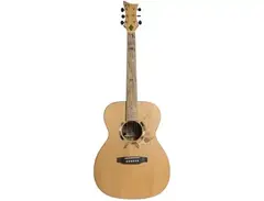 Six String Nation Voyageur main image