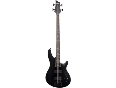 Schecter Guitar Research SLS Elite-4 Evil Twin Electric Bass Guitar