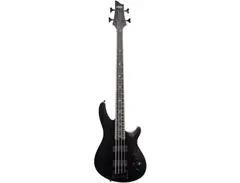Schecter Guitar Research SLS Elite-4 Evil Twin Electric Bass Guitar main image