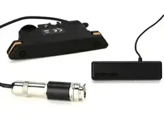 Fishman PowerTap Earth Body Sensor with Soundhole Pickup
