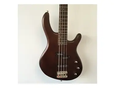 Cort Action PJ OPW 4-String Bass