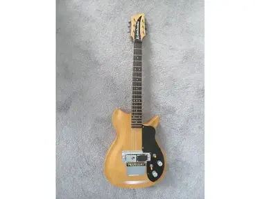 Rickenbacker Combo 800 (1955 - 1959)