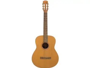 Goya Guitars F-19