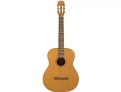 Goya Guitars F-19 main image