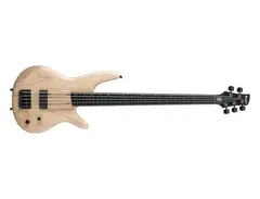 Ibanez GWB1005 main image