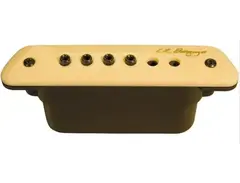 L.R. Baggs M1 Pickup